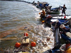 tràn dầu do không xây dựng kế hoạch ứng phó sự cố tràn dầu