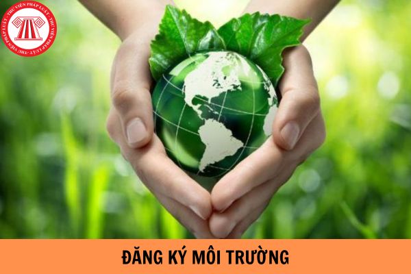 Đơn vị nào cần đăng kí môi trường?