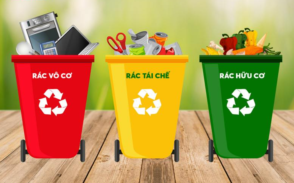 Quy Định Phân Loại Rác Thải Nhựa Mới Nhất 2025 – Hướng Dẫn Chuẩn Cho Mọi Gia Đình Và Doanh Nghiệp